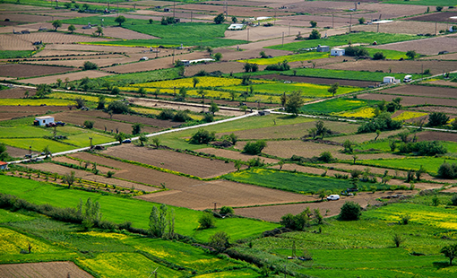 Kalpataru Plots Karjat